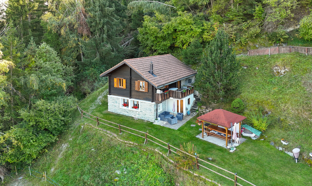 Charmantes Chalet in ausgezeichnetem Zustand - 0