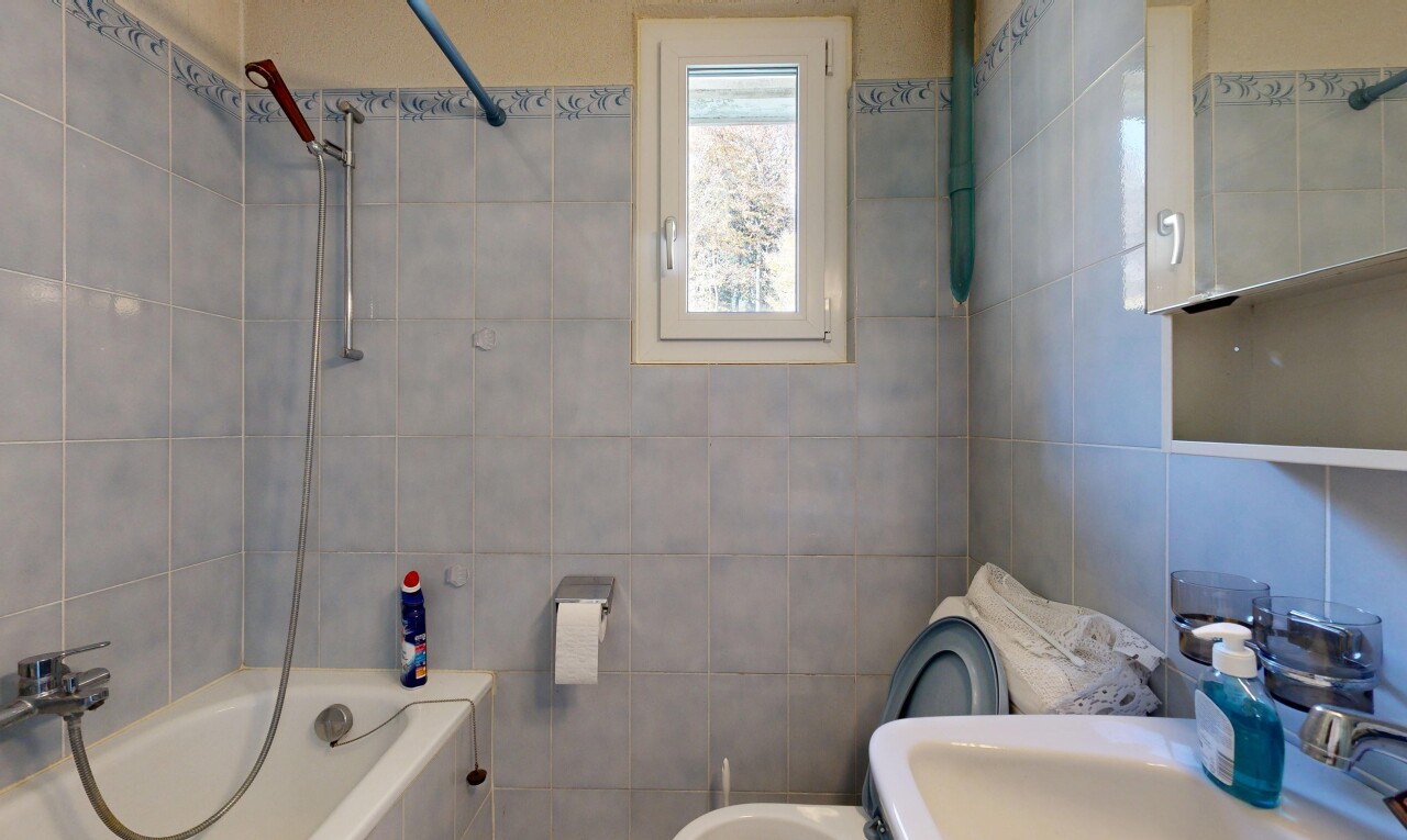 Historisches 5-Zimmerhaus mit Ausbaupotenzial und grossem Garten - 8