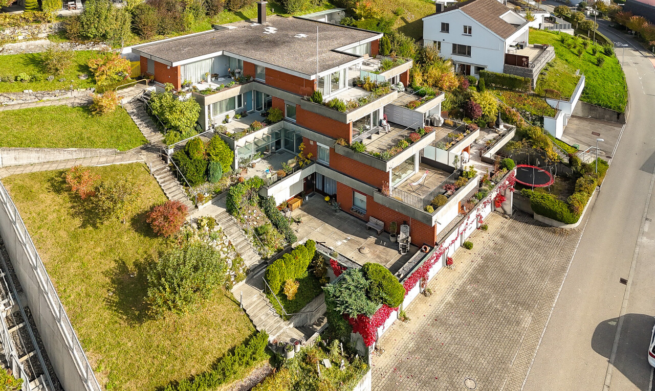 Helle, grosszügige Terrassenwohnung mit Alpensicht - 1