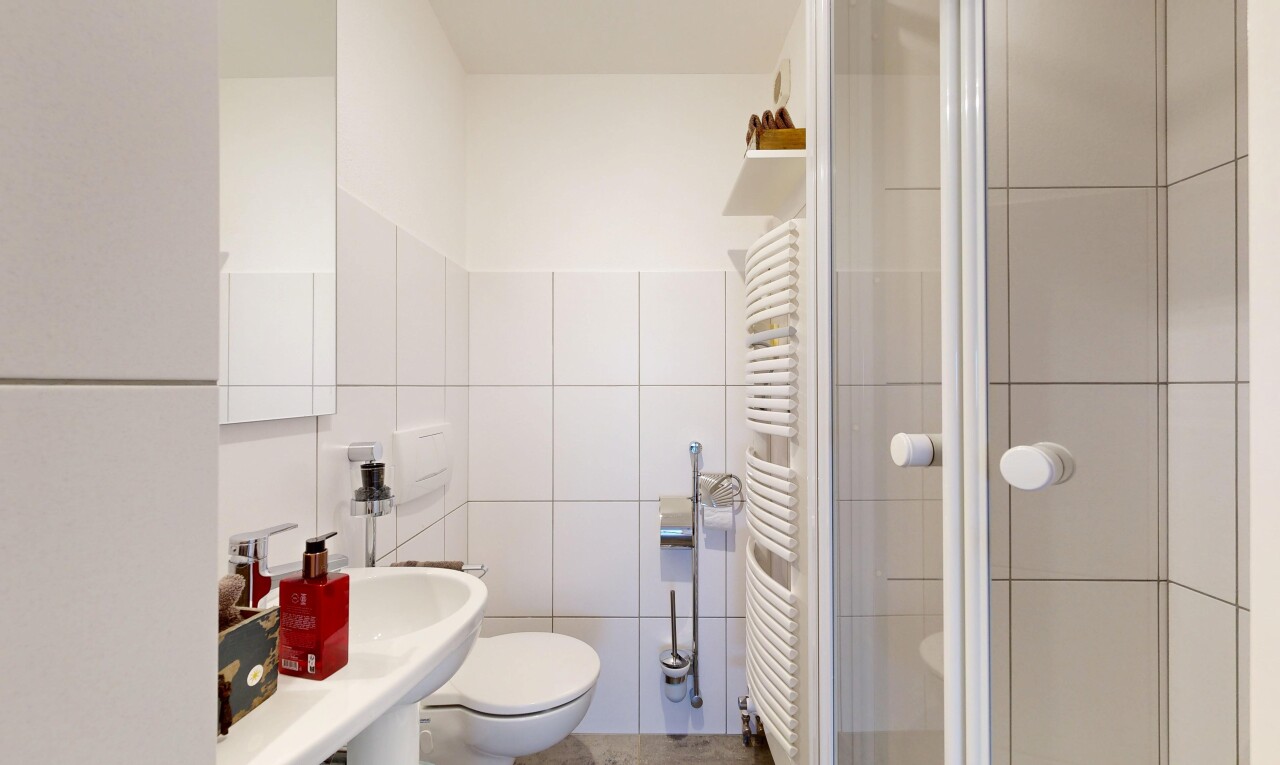 Helle, grosszügige Terrassenwohnung mit Alpensicht - 9