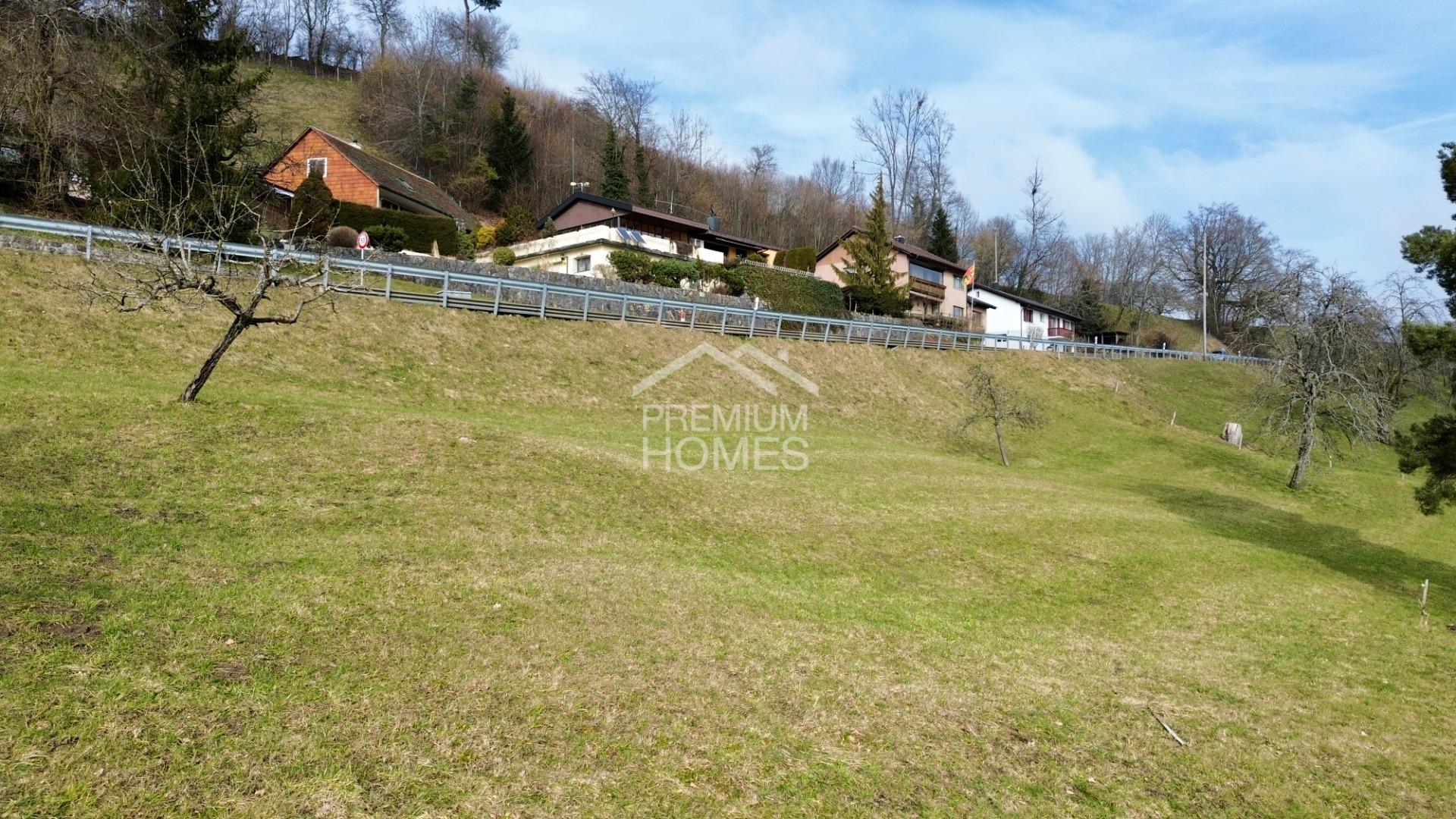 Ihr Bauprojekt beginnt hier ? 1'578 m² Grundstück in Rumisberg! - 0