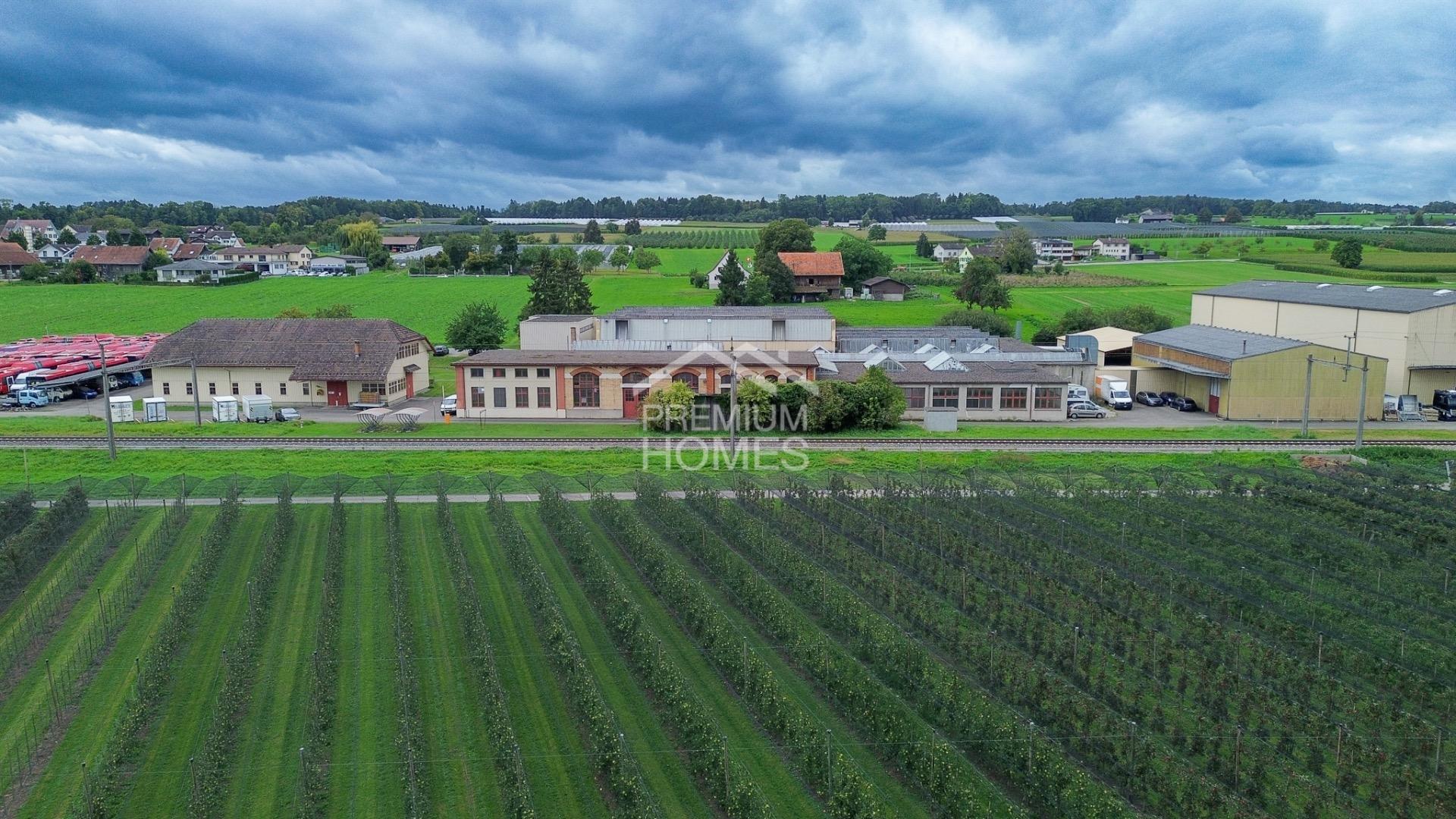 NEUER STANDORT FÜR ERFOLG AM BODENSEE - 1