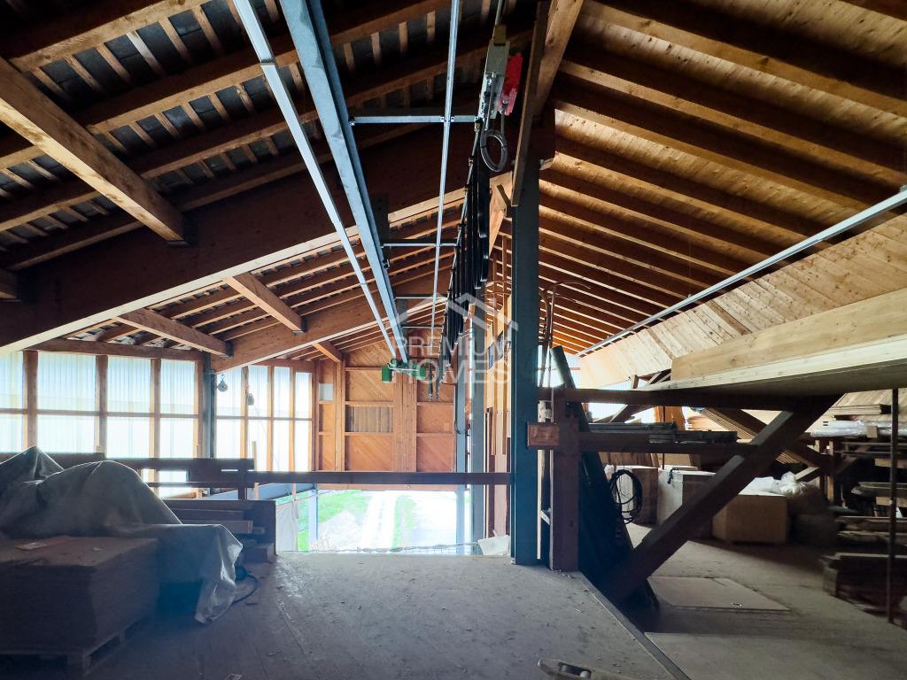 Raum für meine Entfaltung! - 3