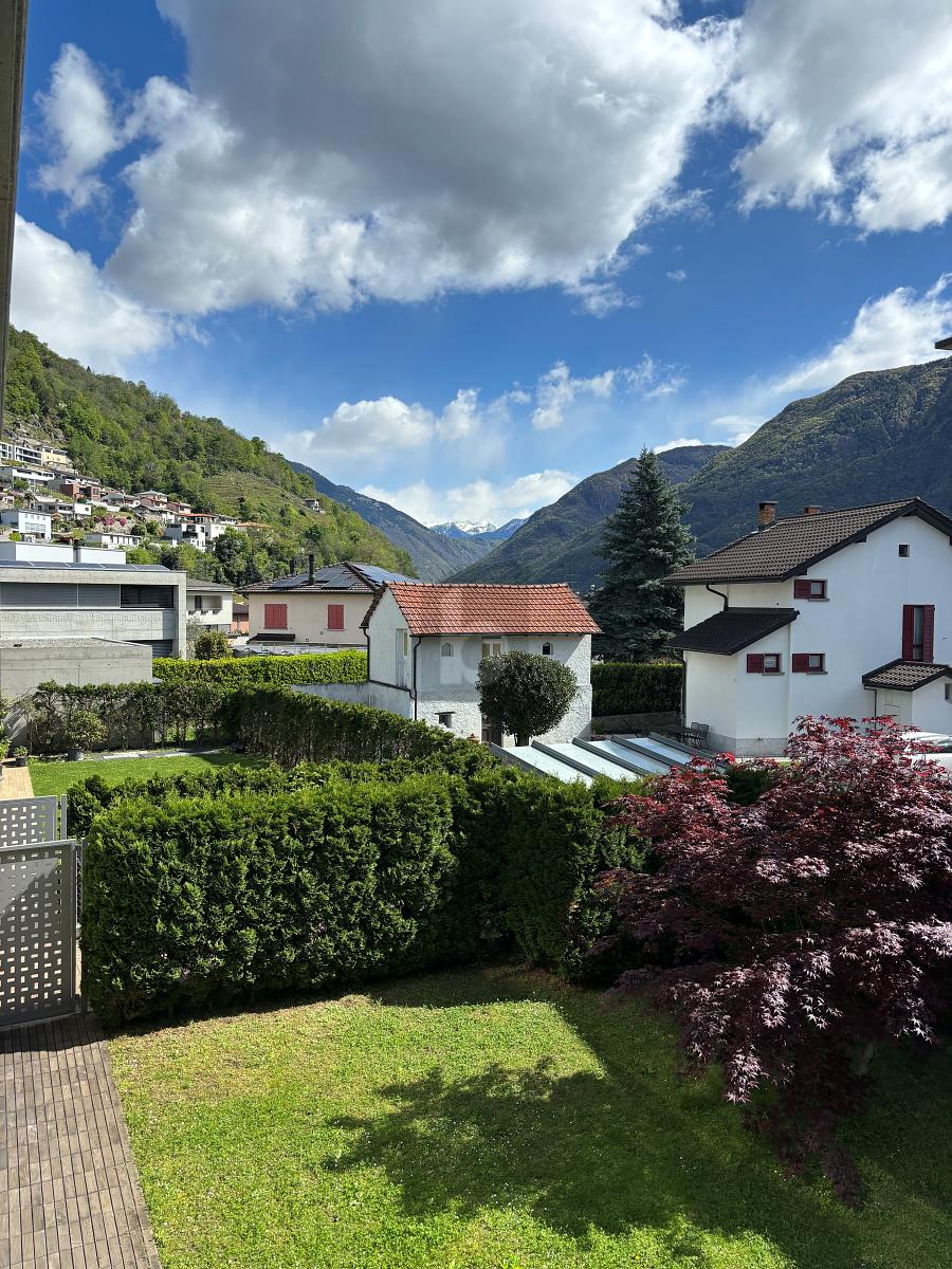 GROSSE LEBENSQUALITAET IM HELLEN 3.5 ZI- APPART. - 1