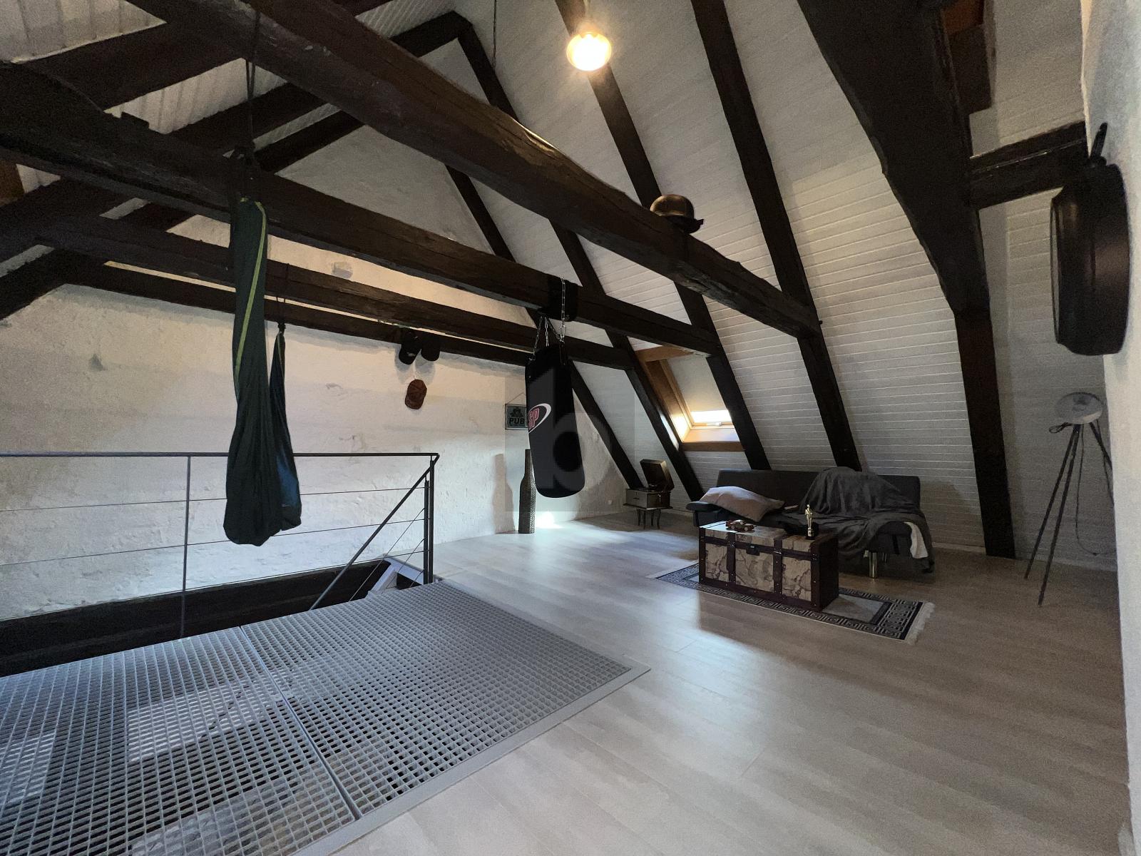 DUPLEX D EXCEPTION - CHARME ET ESPACE - 2