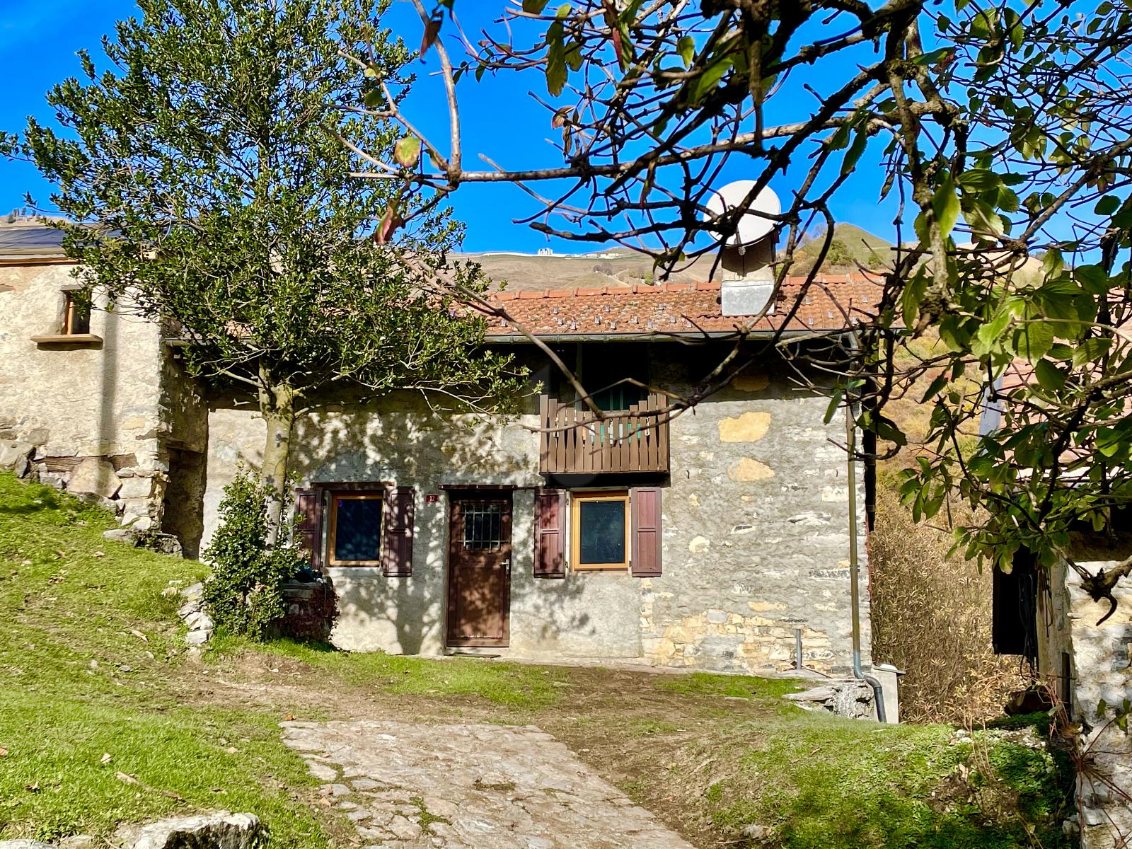 IN MEZZO AL VERDE - 1