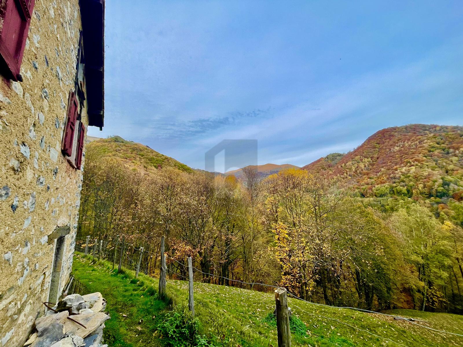 IN MEZZO AL VERDE - 2