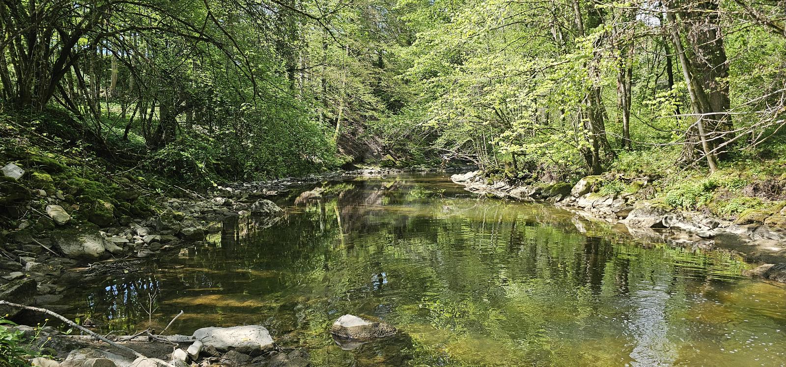 SPACIEUSE, PROCHE DE LA FORÊT, CALME ABSOLU - 1