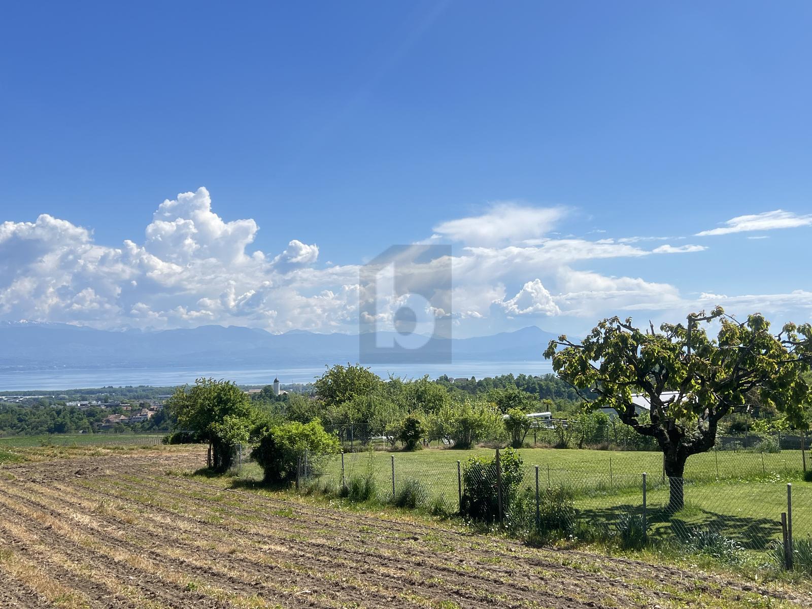 POUR INVESTISSEUR ! VUE EXCEPTIONNELLE SUR LE LEMAN - 0