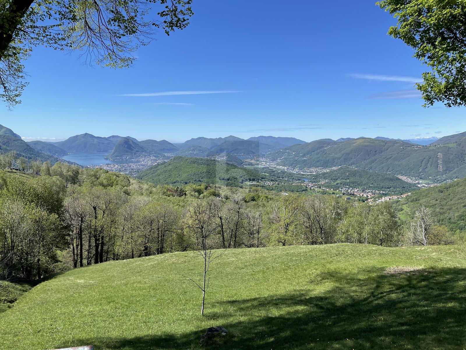 COLPO DI PREZZO! GLI AMANTI DELLA NATURA - 1