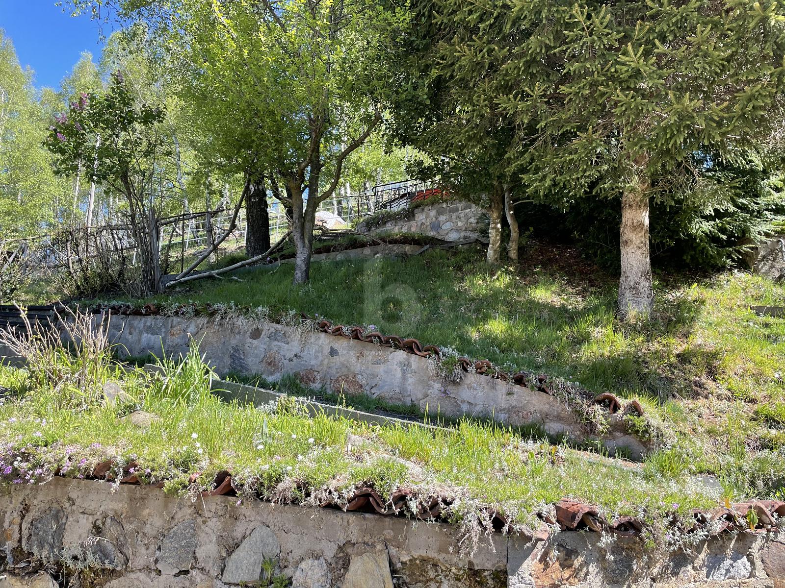 COLPO DI PREZZO! GLI AMANTI DELLA NATURA - 4