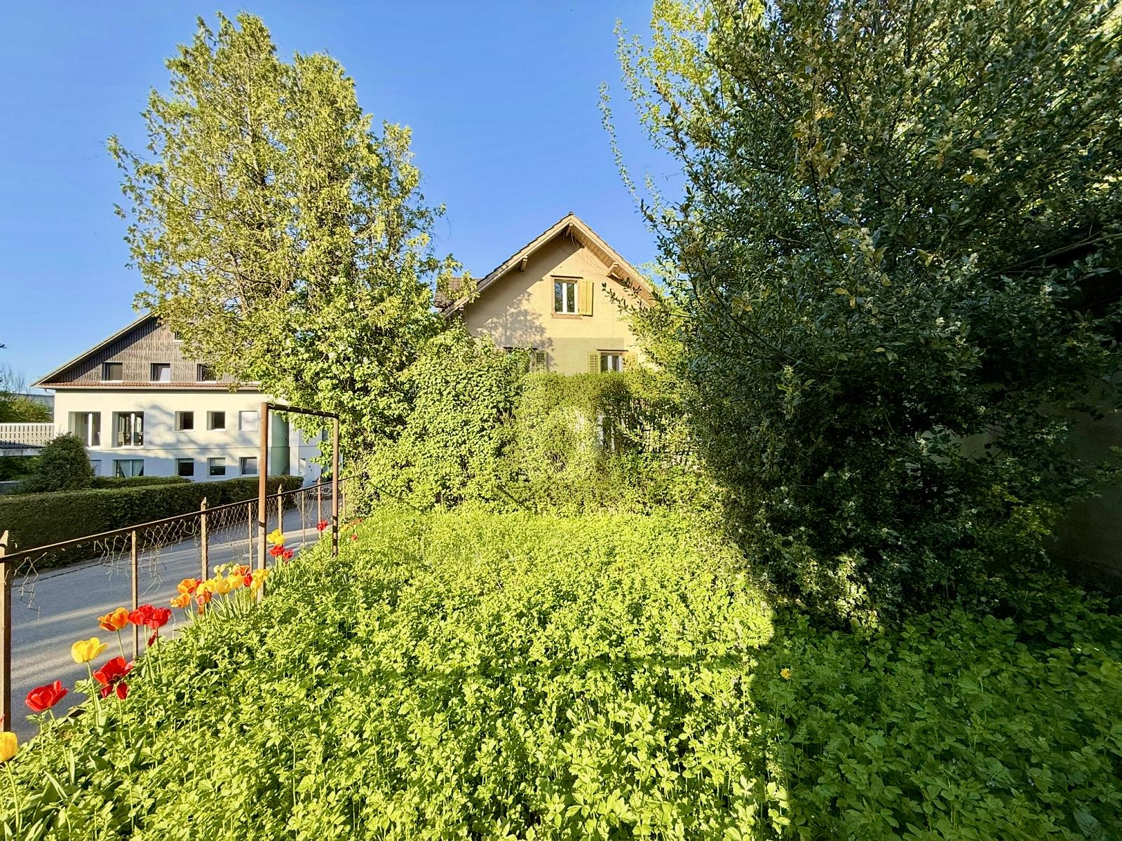 TOLLE SANIERUNGSCHANCE, MIT VIEL PLATZ - 1
