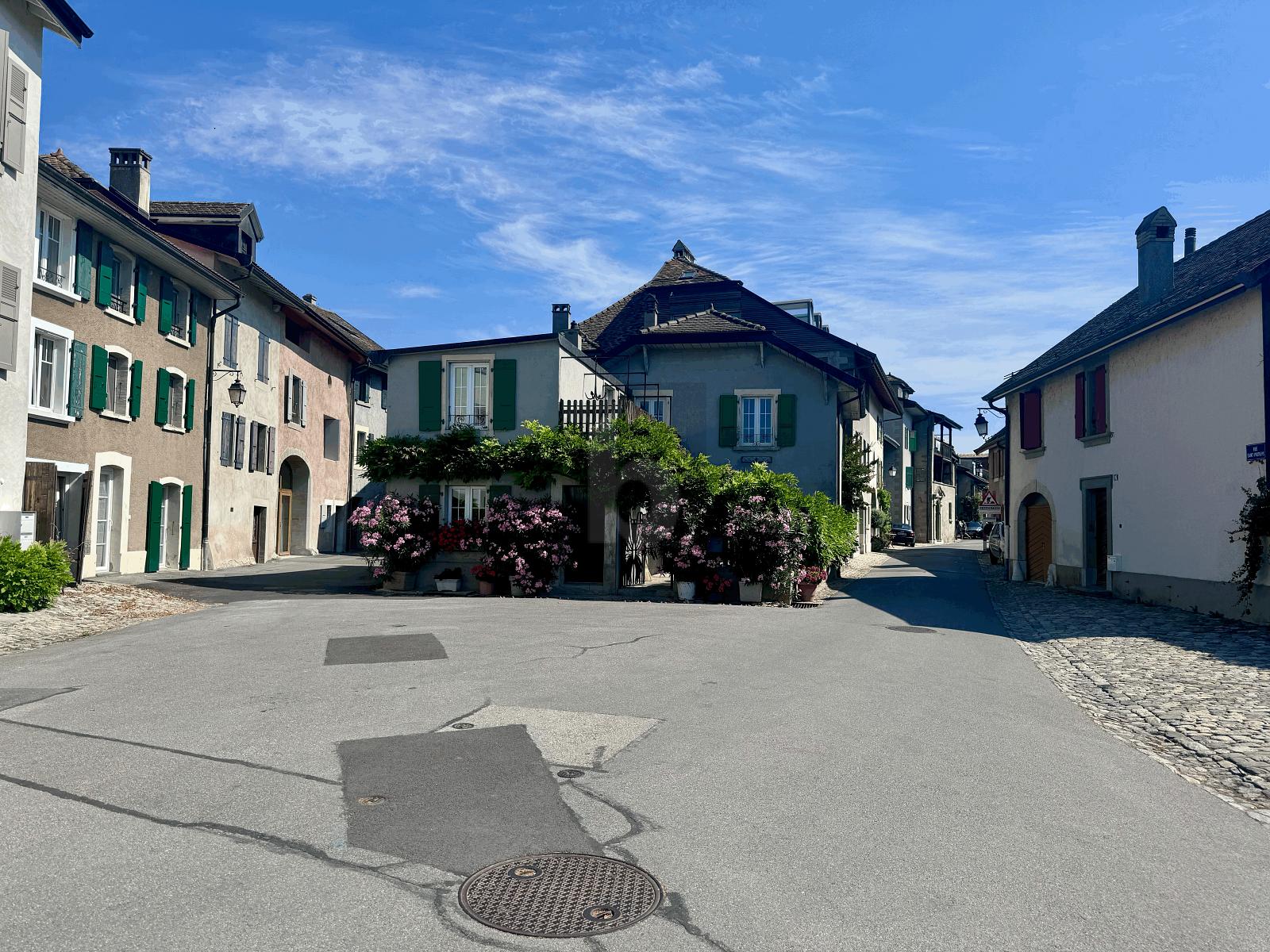 ARCADE AU COEUR DU BOURG DE SAINT-PREX - 1