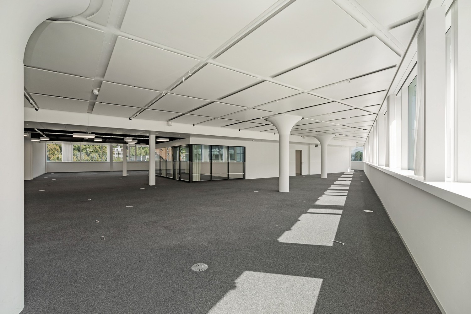 Openspace Büro - Flexibel &amp; Anpassungsfähig, perfekt für Ihr Business! - 1