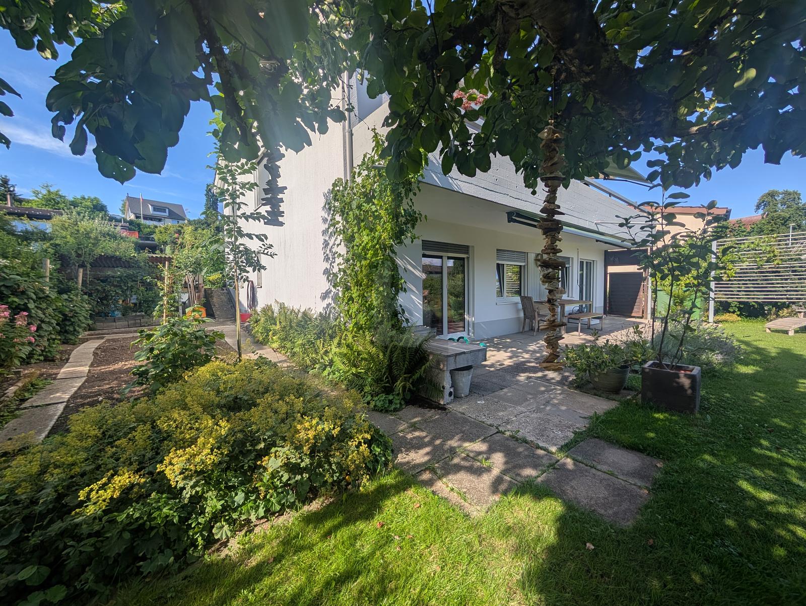 MIT GROSSEM UMSCHWUNG UND BERGPANORAMA - 1