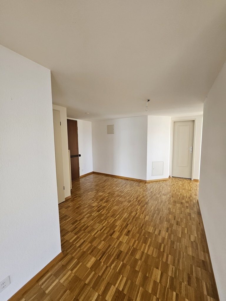 Splendide appartement en attique à Genève ! - 1