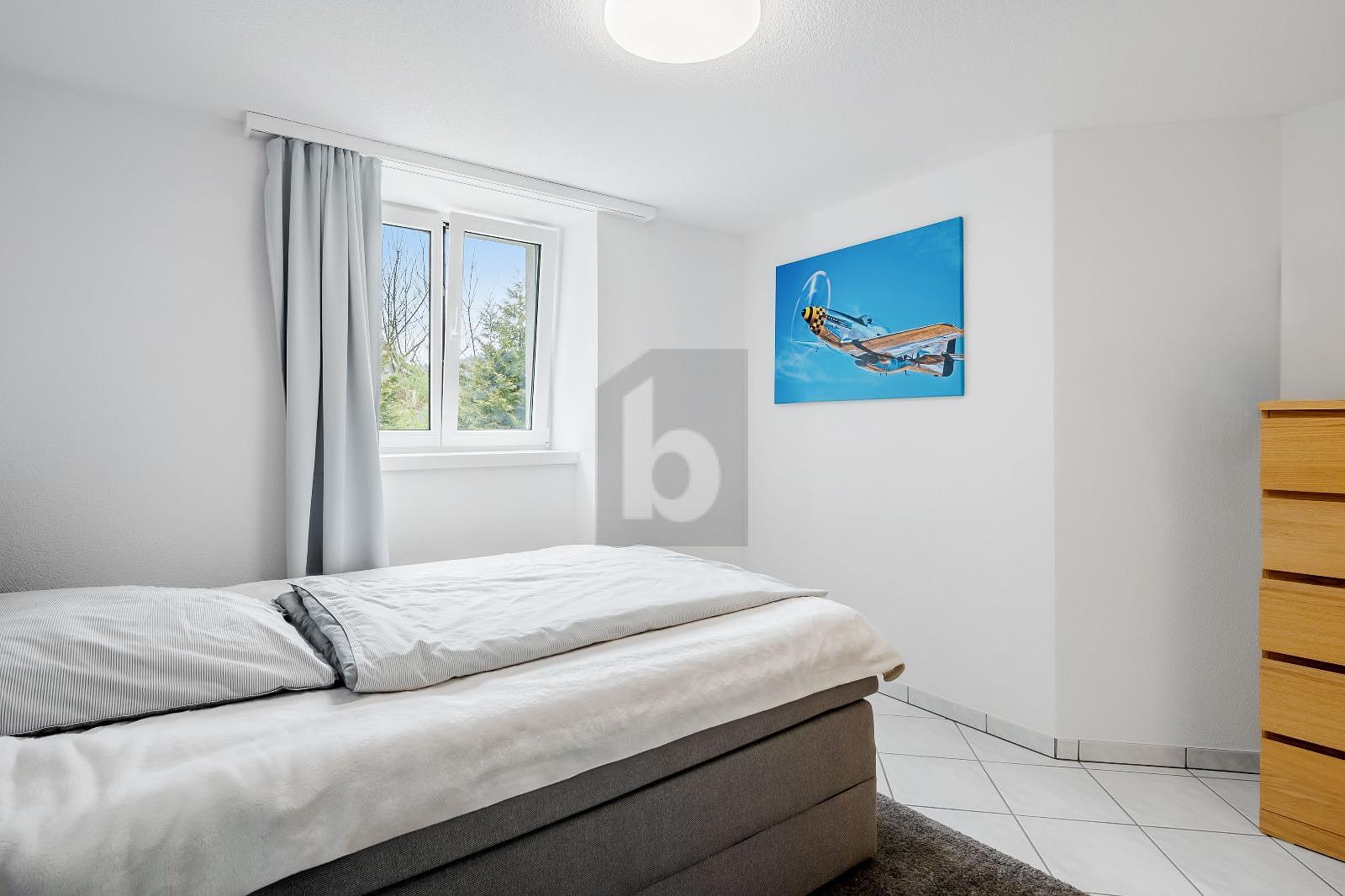 GROSSZÜGIGES PARADIES MIT EINLEGERWOHNUNG - 1