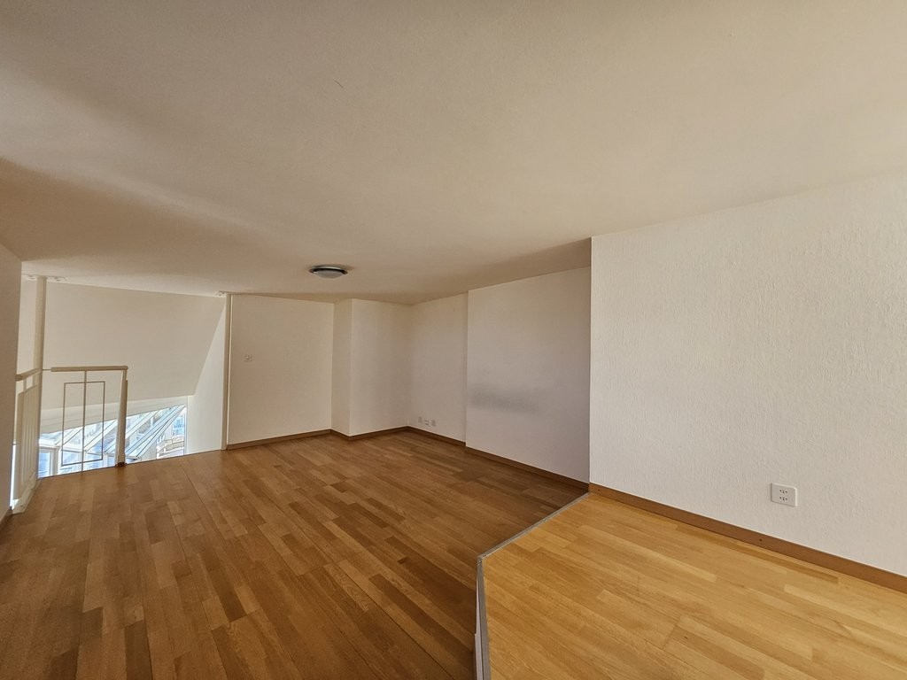 Splendide appartement en attique à Genève ! - 4