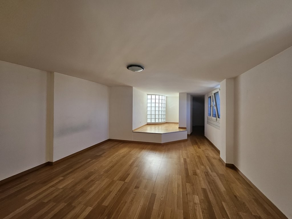 Splendide appartement en attique à Genève ! - 6