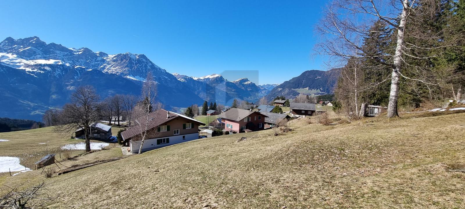 WIE EIN KRISTALL IN DER NATUR - 1