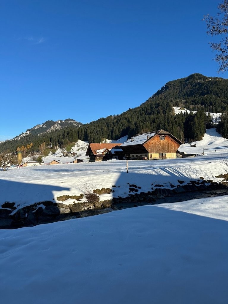 Ihre neue Wohlfühloase im Grünen - 0