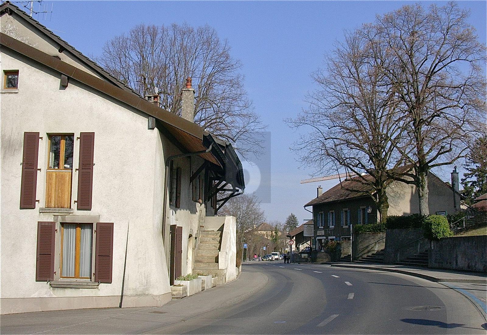 TEA-ROOM AU C UR DE BERNEX ! - 0