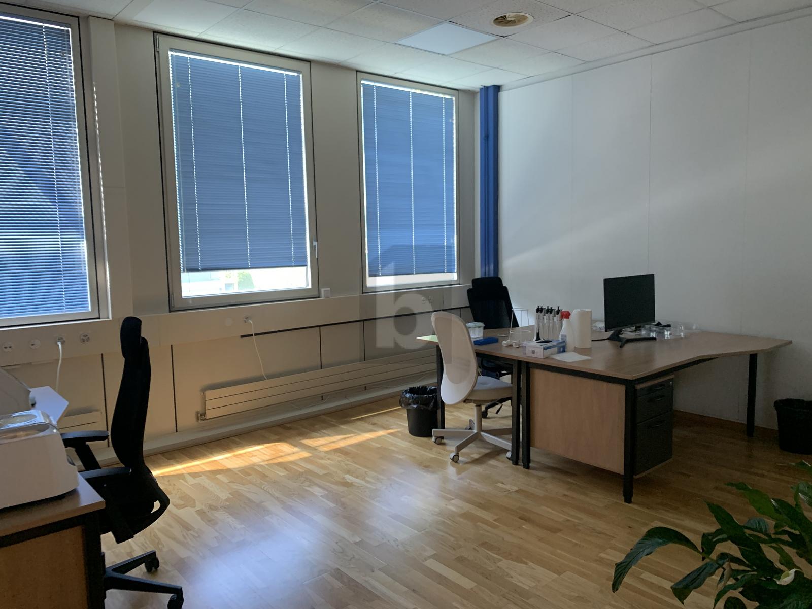TRES GRAND ET MAGNIFIQUE BUREAU EN ZI - 3