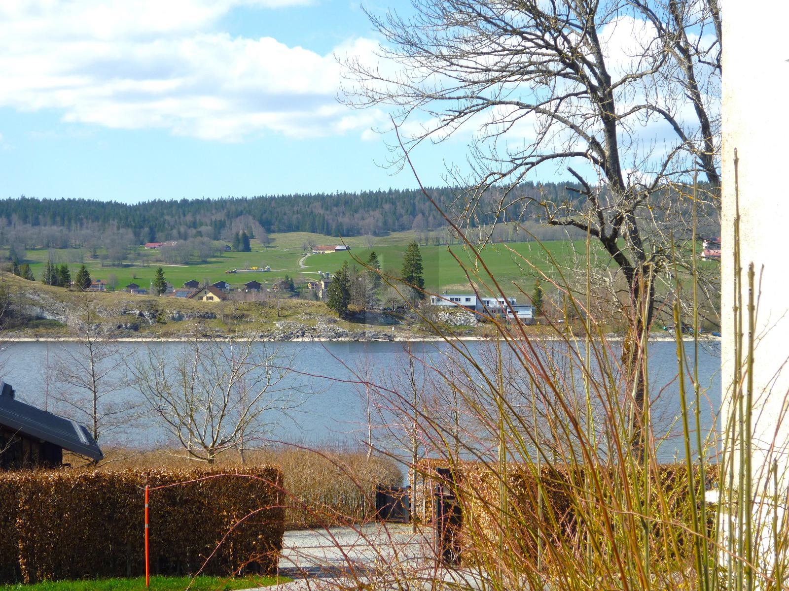 VUE IMPRENABLE SUR LE LAC DE JOUX ! - 1