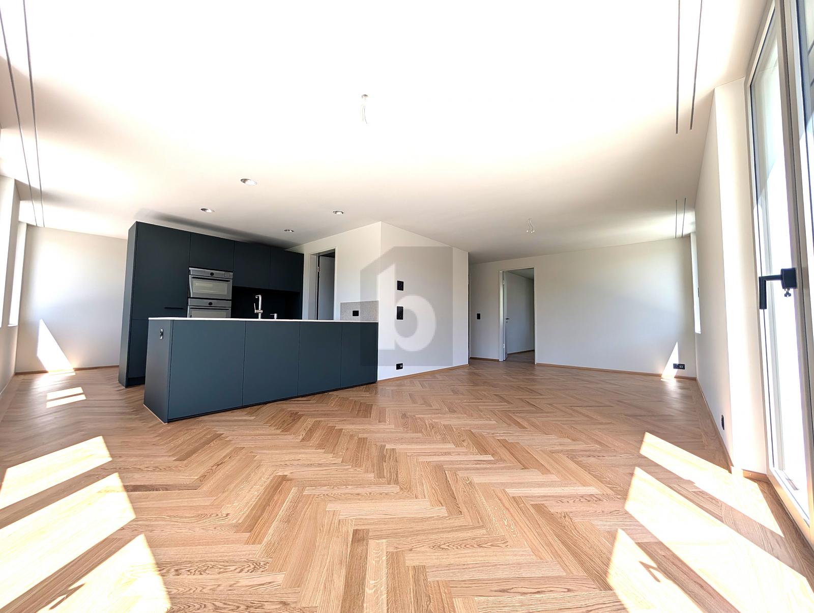 CHARMANTER MODERNER NEUBAU - 1