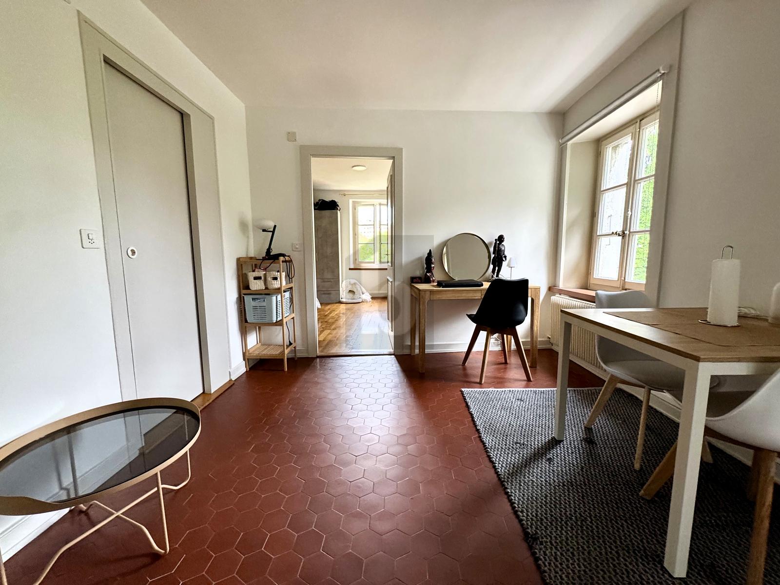 MAGNIFIQUE AU COEUR DE CAROUGE - 2