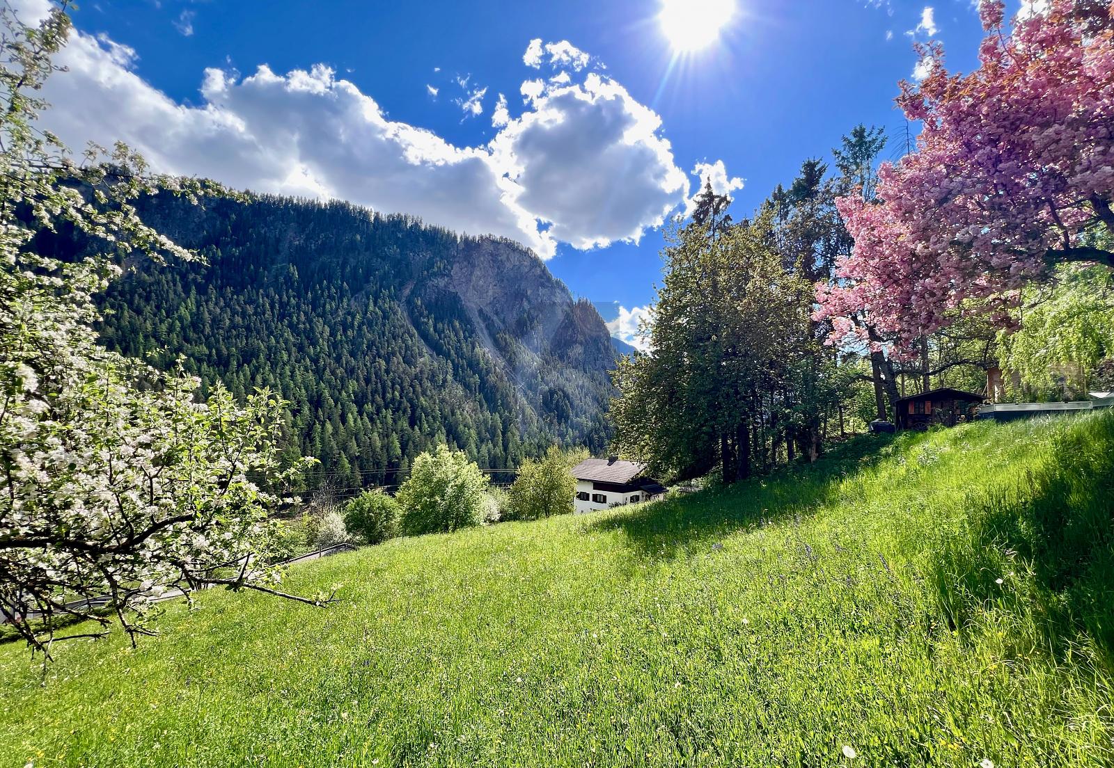 AN EINMALIGER UND SONNIGER LAGE MIT BAULANDRESERVE - 0