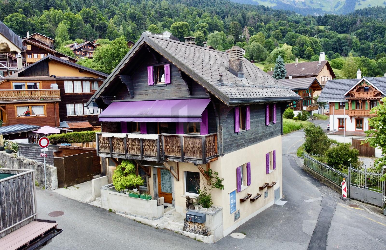 AU COEUR DU VILLAGE, AVEC 2 APPARTEMENTS, RENOVE - 1