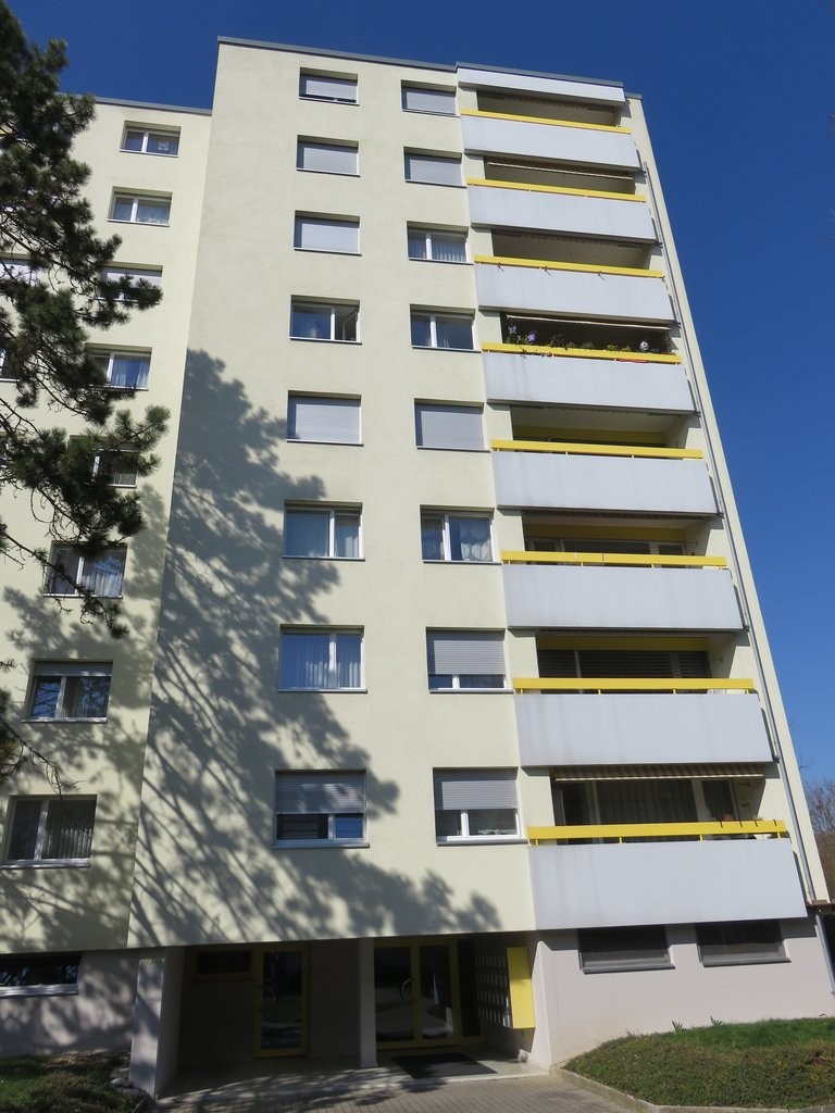 Grosszügiges Wohnen in Therwil! - 1