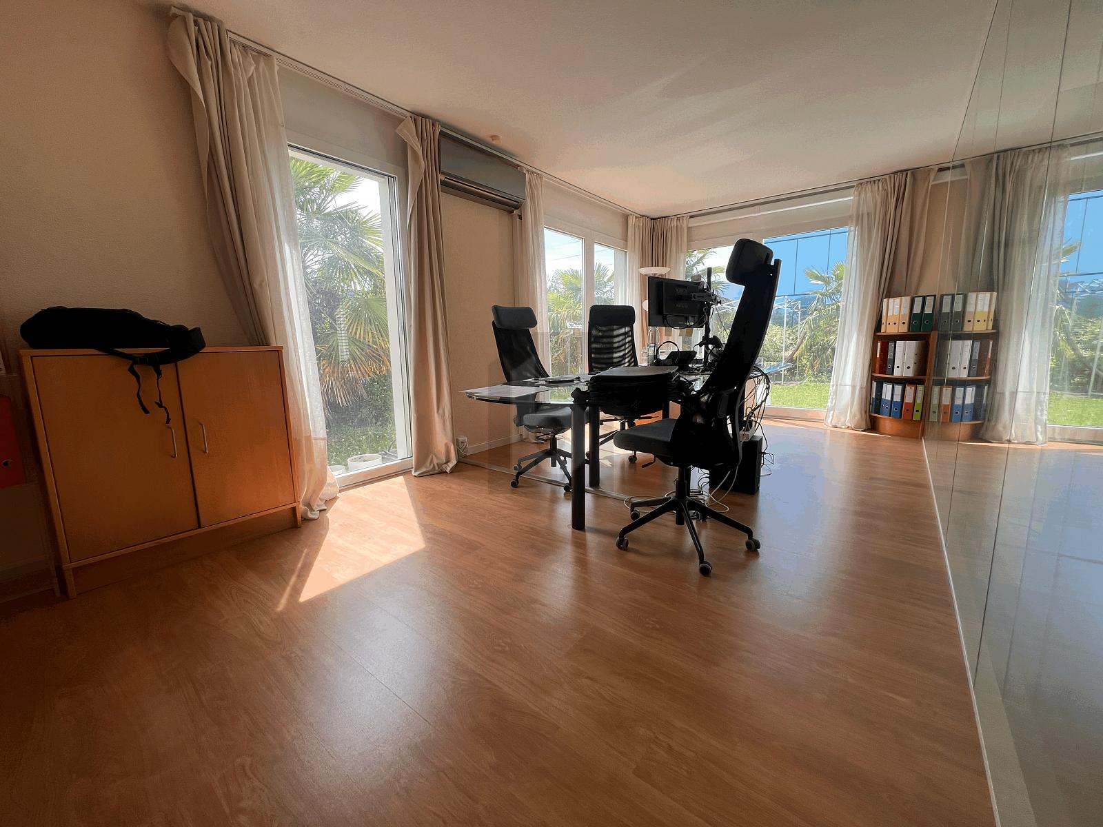BUREAU AVEC JARDIN - 1