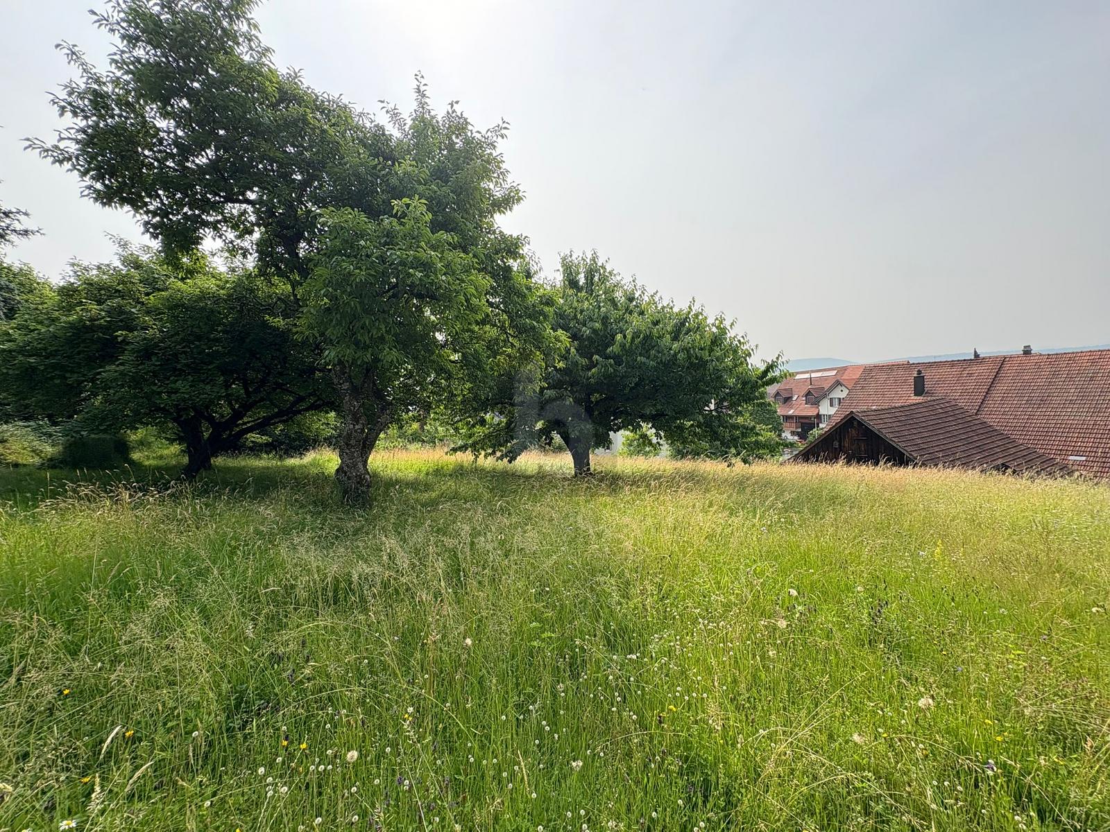 SONNIG UND ZENTRAL - AN BESTER LAGE! - 2