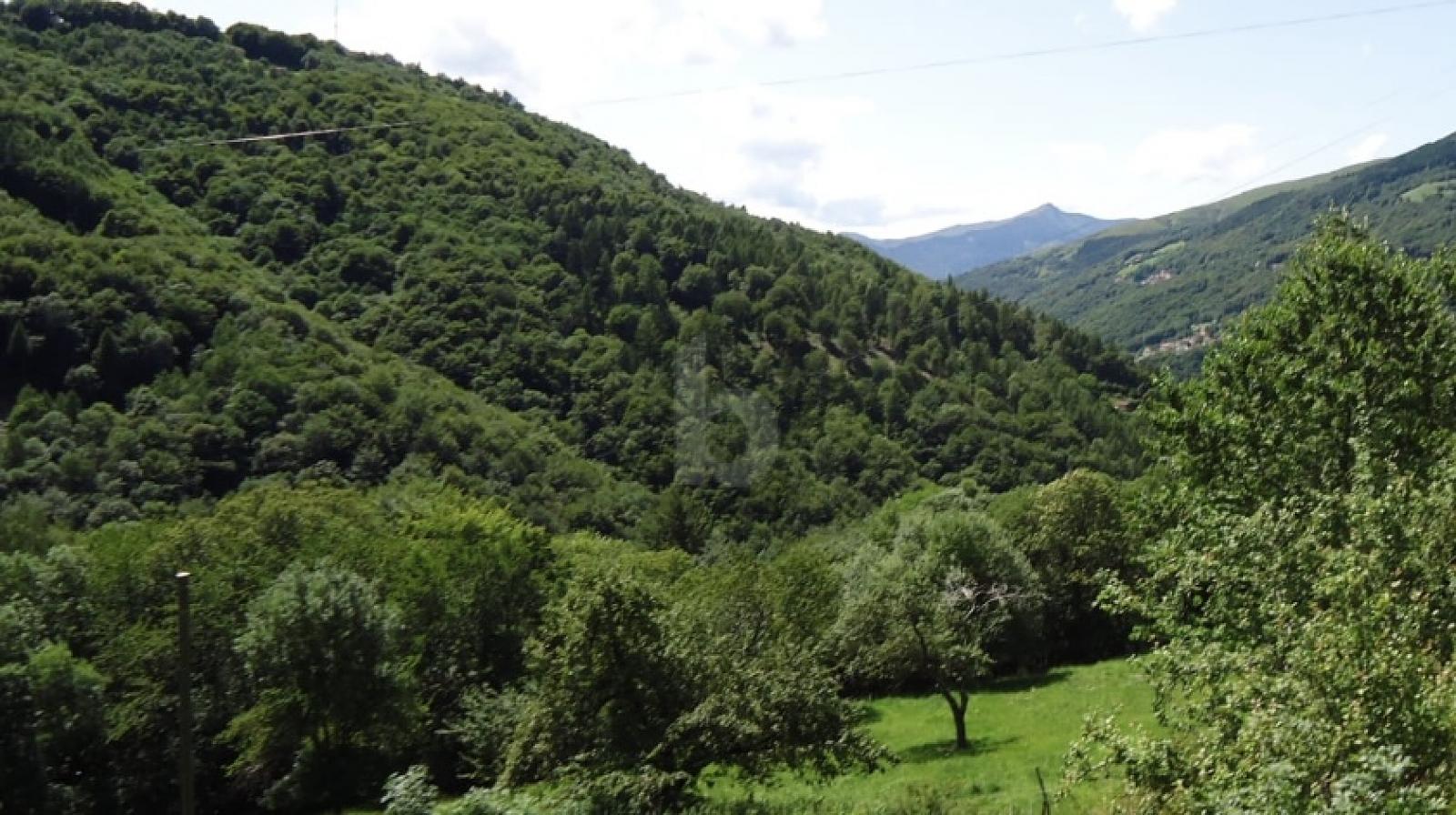 PROGETTO EDILIZIO APPROVATO CON STUDIO DI PROGETTO - 1