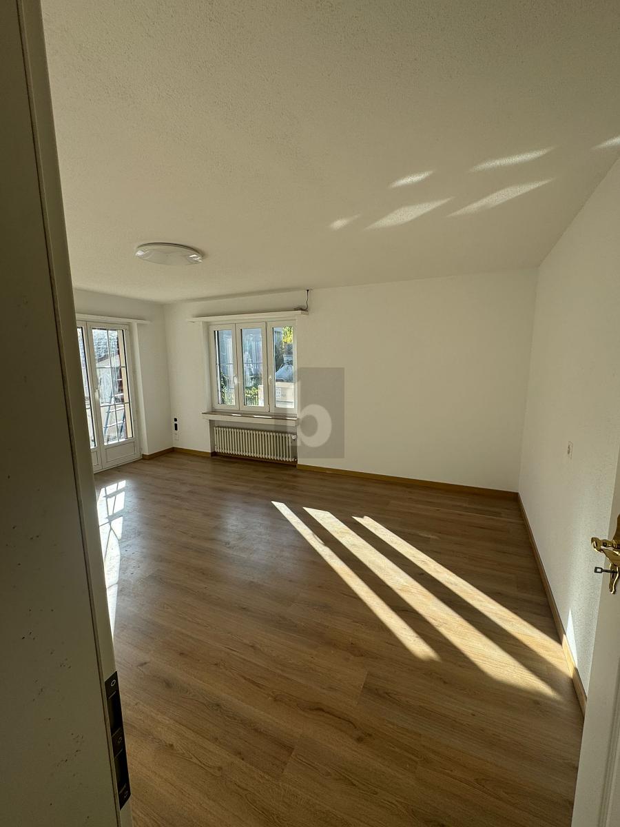FRISCH RENOVIERT MIT NEUER KÜCHE UND TERRASSE - 1