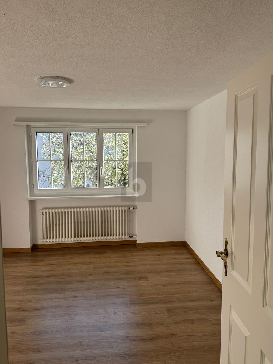 FRISCH RENOVIERT MIT NEUER KÜCHE UND TERRASSE - 3