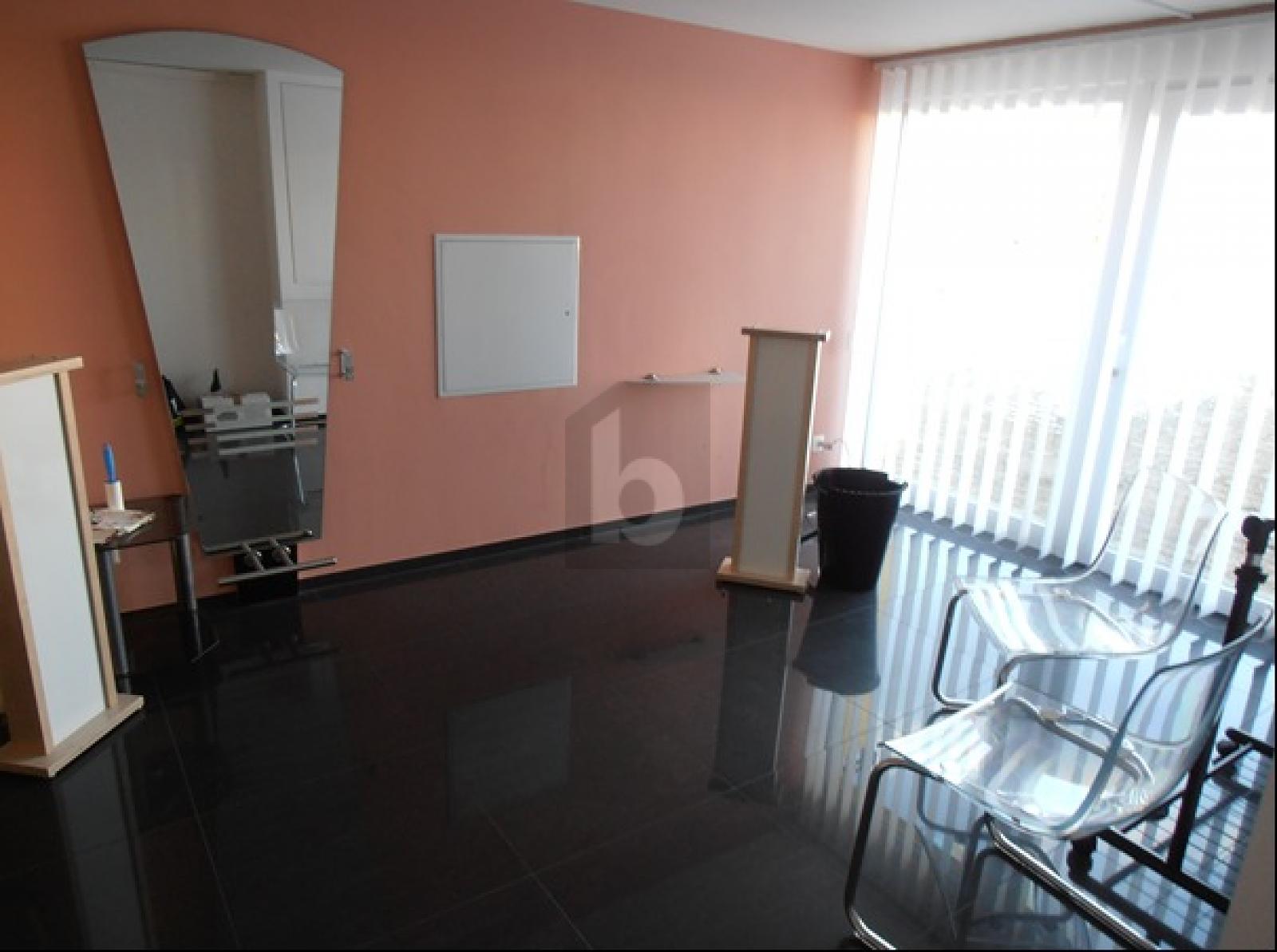 PERLE MIT GROSSEM GARTEN, POOL UND GEWERBERAUM - 4