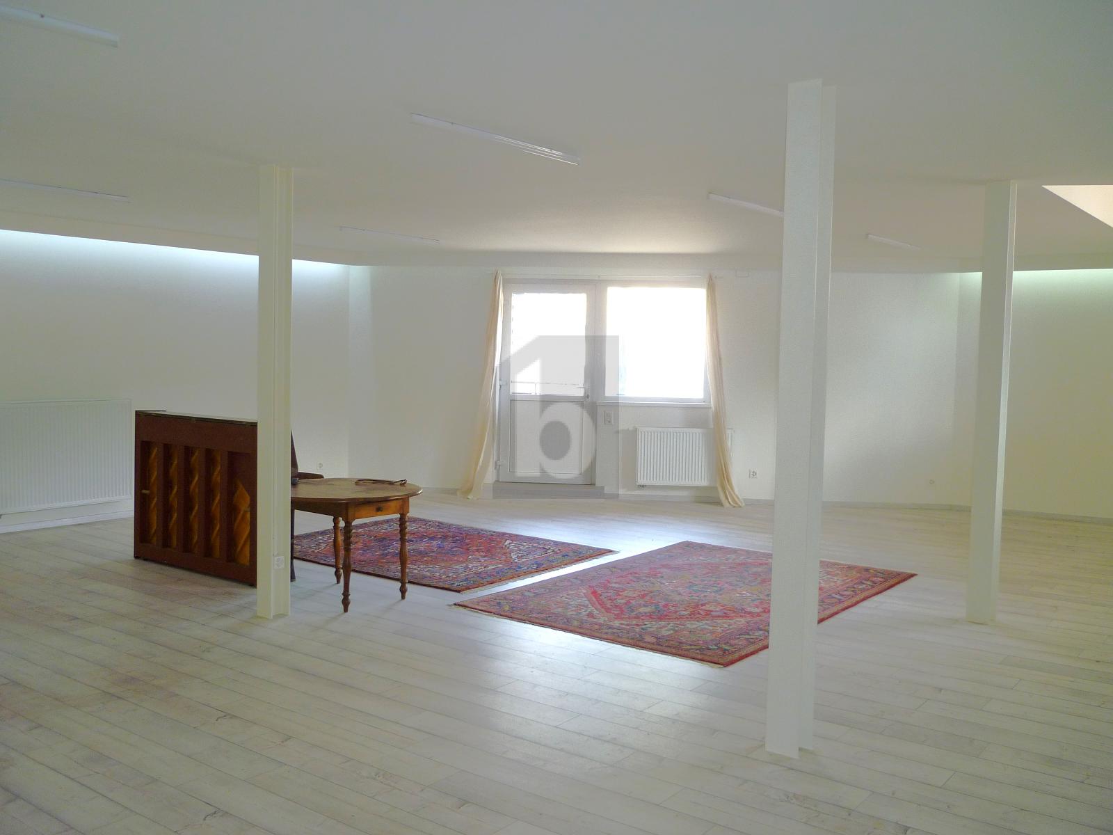IMMENSE LOFT UNIQUE - 2