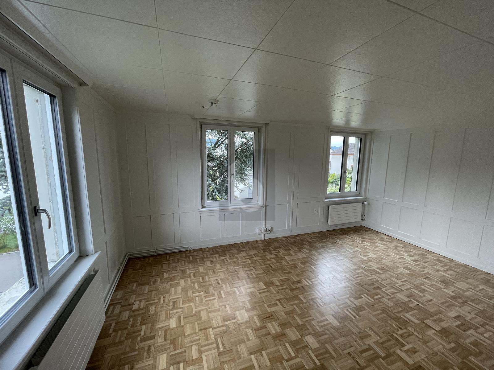 GROSSER GARTEN UND NEUE KÜCHE - 3