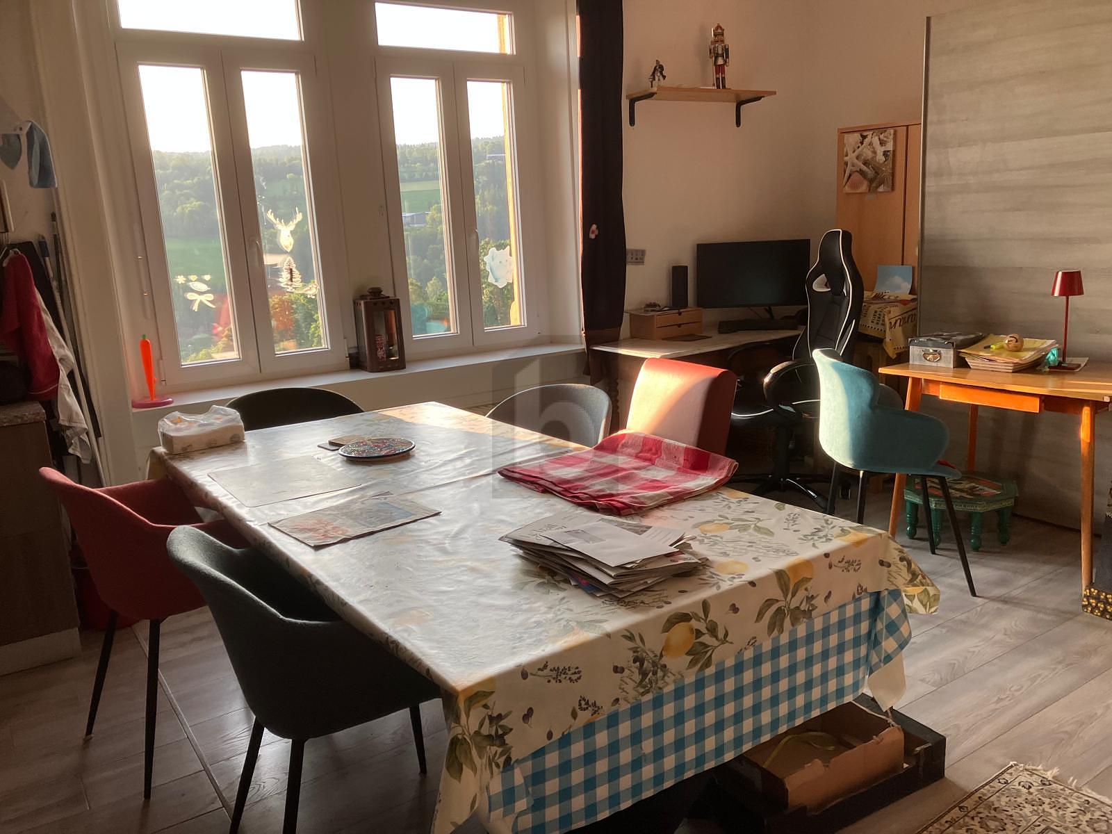 DANS MAGNIFIQUE MANOIR - 3