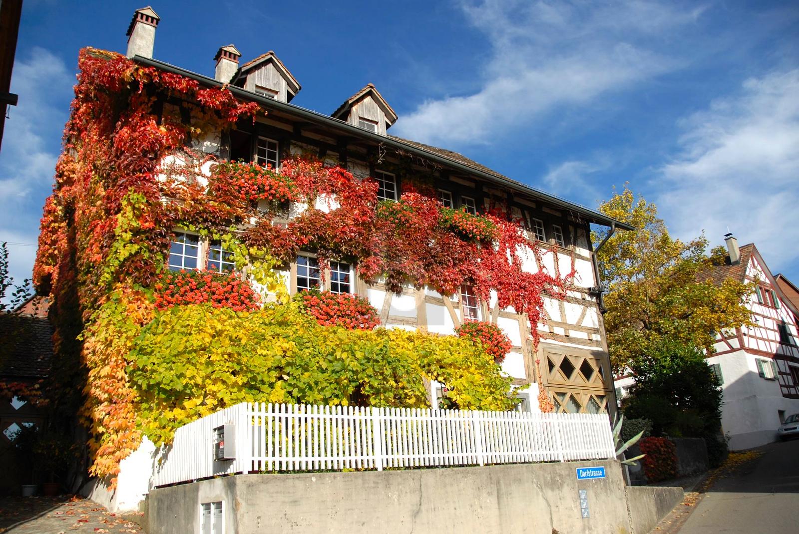 MEHRGENERATIONENHAUS IM ZÜRCHER WEINLAND - 1