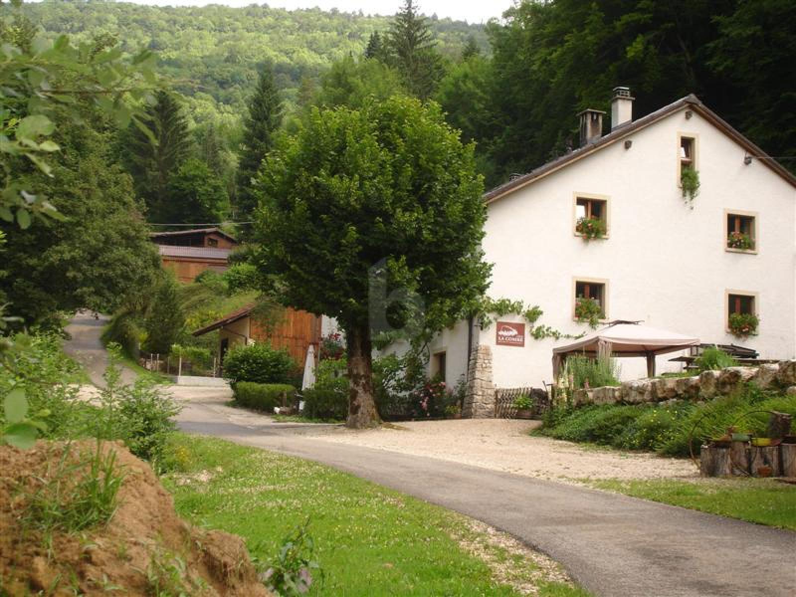 AMOUREUX DE LA NATURE - 0