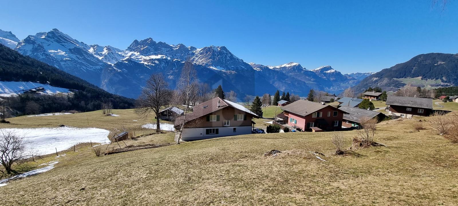 EINZIGARTIG UND NATURVERBUNDEN - 1