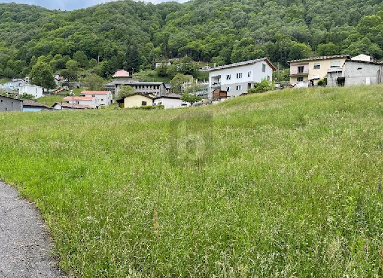 EDIFICABILE CON PROGETTO APPROVATO - 0