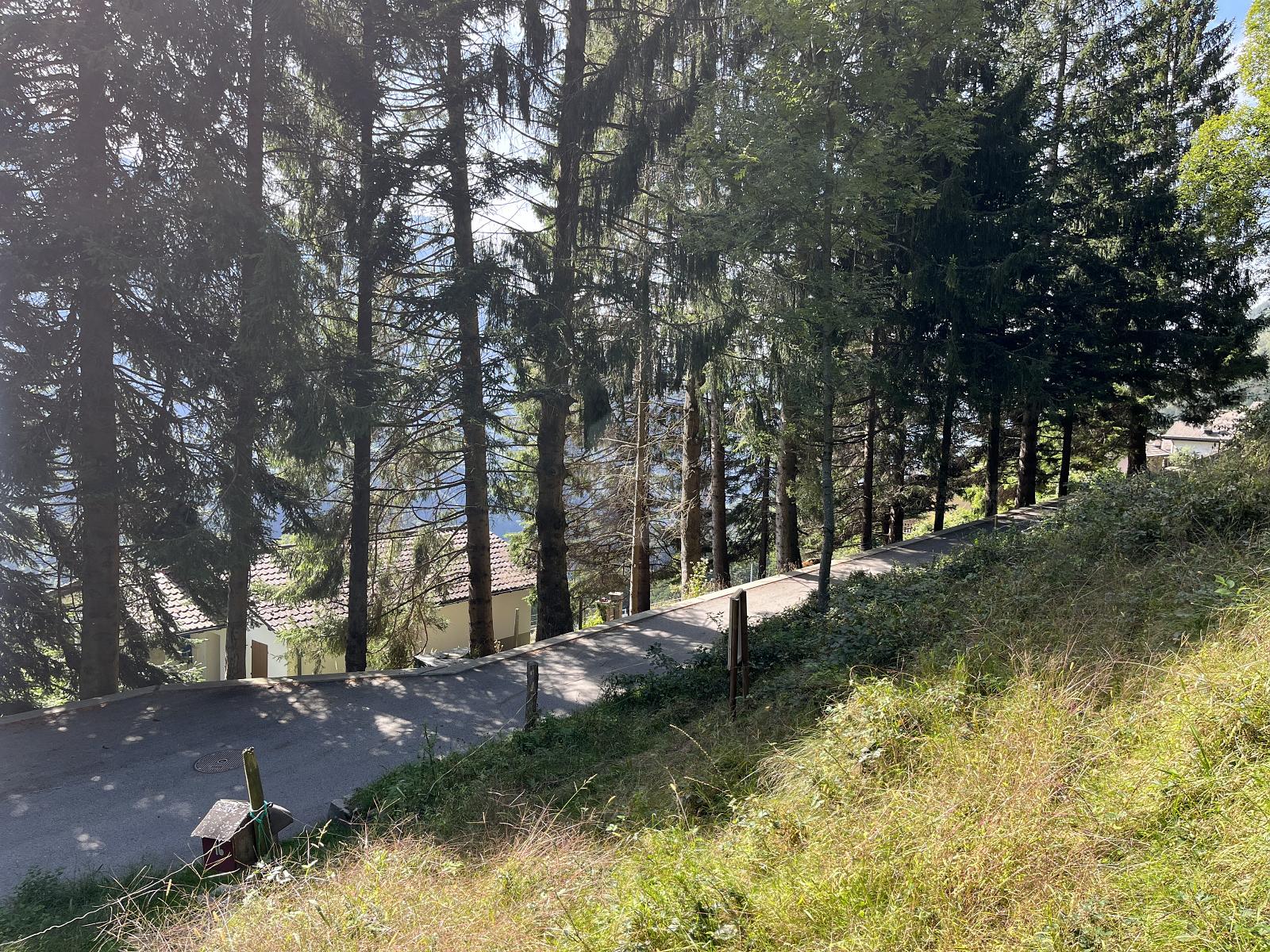 SCHÖNES GRUNDSTÜCK IM SONNIGEN MOROBBIATAL - 1