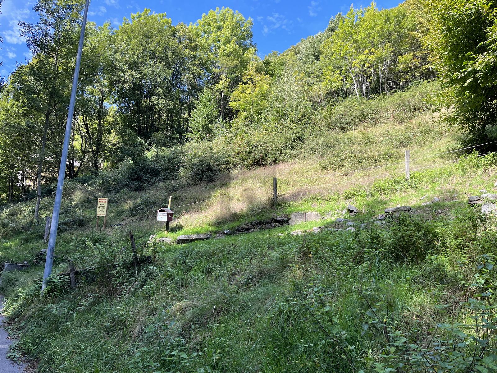 SCHÖNES GRUNDSTÜCK IM SONNIGEN MOROBBIATAL - 2