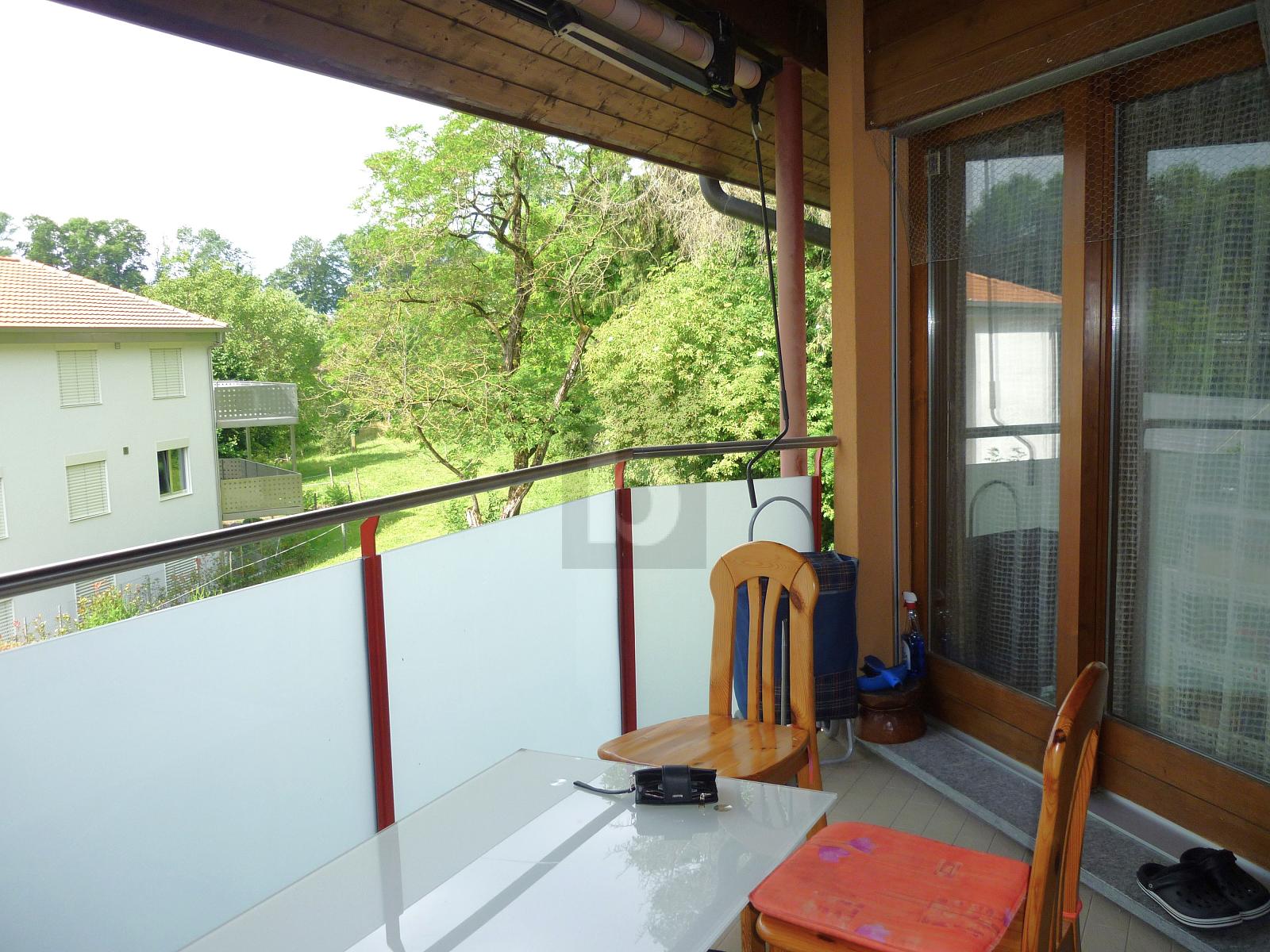 TRIPLEX SPACIEUX, CALME, PROCHE MONTAGNY - 1