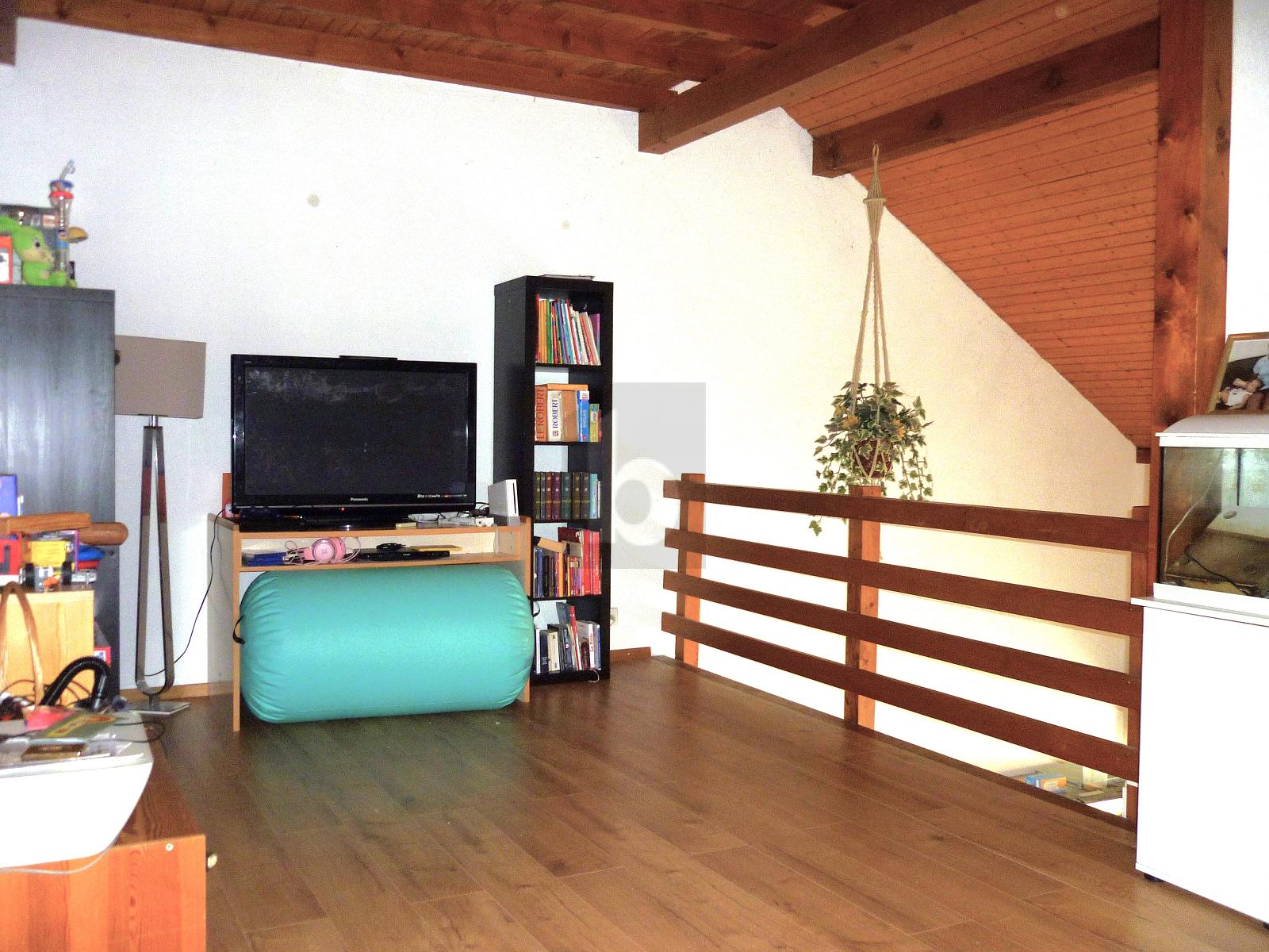 TRIPLEX SPACIEUX, CALME, PROCHE MONTAGNY - 3